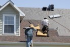 Willatookskylights-2.jpg; ?>